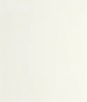 משטח קוורץ 1111 Vivid White