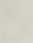 משטח קוורץ 4011 Cloudburst Concrete