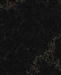 משטח קוורץ 5100 Vanilla Noir