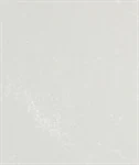 משטח קוורץ 5110 Alpine Mist