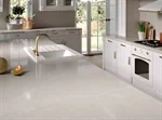 Desert Silver 2