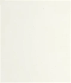 משטח קוורץ 1111 Vivid White