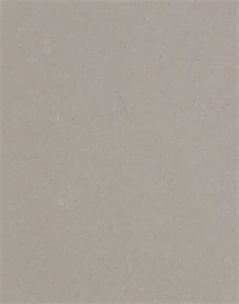 משטח קוורץ 4004 Raw Concrete