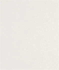 משטח קוורץ 4600 Organic White