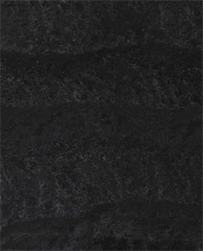 משטח קוורץ 5810 Black Tempal
