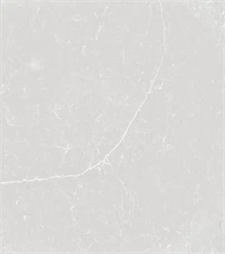Desert Silver