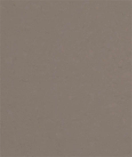 משטח קוורץ 1006 Agger Grey
