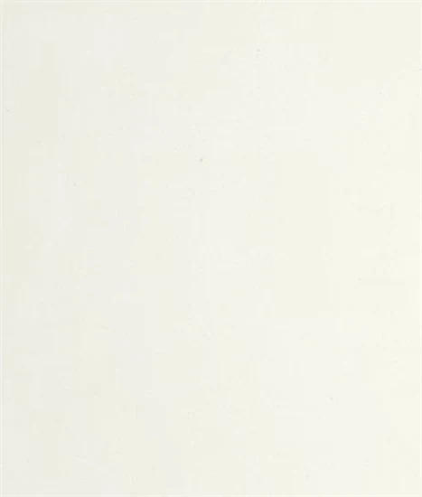 משטח קוורץ 1111 Vivid White