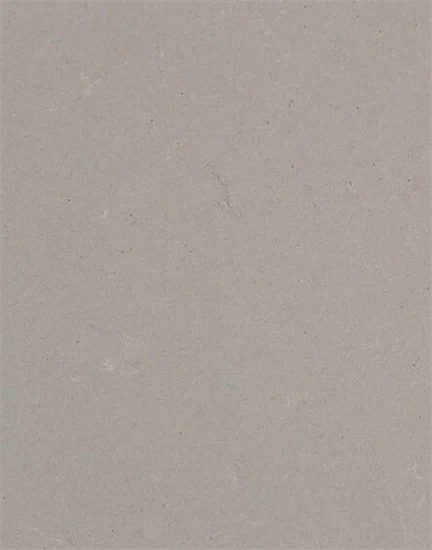 משטח קוורץ 4004 Raw Concrete