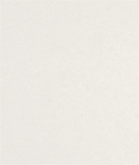 משטח קוורץ 4600 Organic White