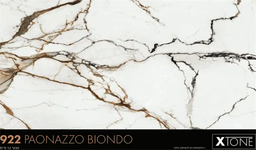 משטח פורצלן מעובד 922 Paonazzo Biondo